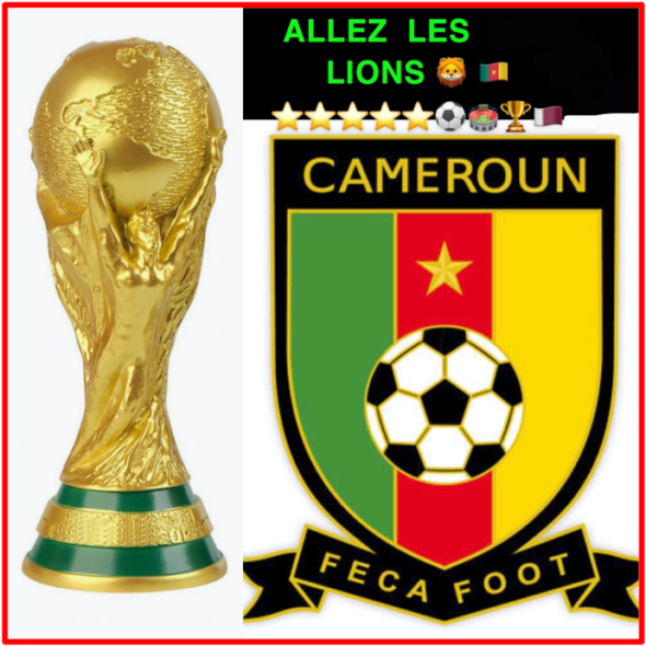 The Bridge Magazine explique pourquoi le Cameroun, cinq fois champion de la Coupe d'Afrique des Nations, et quart de finaliste contre l'Angleterre lors de la Coupe du monde 1990, est premier dans le top 10 de sa liste de prédiction des vainqueurs du Qatar 2022. The Bridge MAG. Image