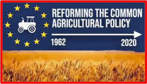 En quittant l'Union Européenne, (UE), les agriculteurs britanniques perdent plusieurs milliards d'aides européennes liés à la Politique Agricole Commune (PAC). The Bridge MAG. Image 