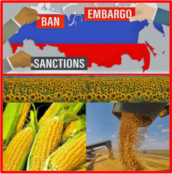 The agricultural sector, like many others in the UK, is furthermore facing a global spike in energy costs made worse by the war in Ukraine, which is also causing a spike in the price of fertilisers, of which Russia is a major producer. The Bridge MAG. Image 