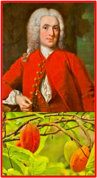 Swedish Botanist Carl Linnaeus (1707-1778) The story of chocolate begins with a small tropical tree. In 1735, Linnaeus named the plant. In 1735, Swedish Botanist Carl Linnaeus named the tree ‘Theobroma cacao’. Theobroma, the genus name originates from Greek and translates to ‘food of the Gods’, which both Mayans and Aztecs also believed was a gift from the Gods. The Bridge MAG. Image 