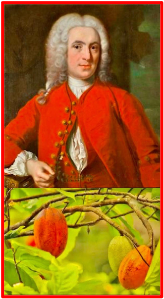 Le botaniste suédois Carl Linnaeus (1707-1778) L'histoire du chocolat commence avec un petit arbre tropical. En 1735, Linnaeus baptisa la plante. En 1735, le botaniste suédois Carl Linnaeus baptisa l’arbre « Theobroma cacao ». Le nom Theobroma, vient du grec et se traduit par « repas des Dieux » : les Mayas et les Aztèques croyaient avec ferveur que le cacaoyer est un ‘ don des Dieux.’ The Bridge MAG. Image 