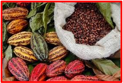 Le secret du chocolat noir réside dans sa puissante fève de cacao remplie de propriétés chimiques utiles telles que : les flavonoïdes et de nombreux ingrédients bénéfiques pour l'Homme, tels que : le calcium, le fer, la thiamine (vitamine B1), la riboflavine (vitamine B2), le phosphore, la niacine, l'amide de niacine (vitamine B3), acide pantothénique (vitamine B5), vitamine E, pyridoxine (vitamine B6), acide ascorbique (vitamine C), magnésium, zinc, cuivre, manganèse. The Bridge MAG. Image 