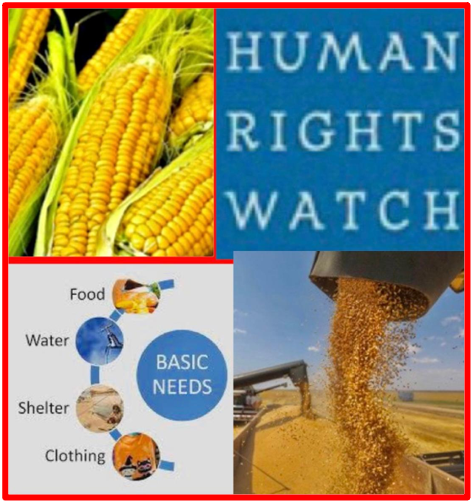 As human, having access to minimum food is a basic, absolute and fundamental Human Right. No one on earth should starve: The United Nations of Human Rights makes it unequivocal. Under the paragraph 1- of the Universal Declaration on the Eradication of Hunger and Malnutrition, it reads:“Every man, woman and child has the inalienable right to be free from hunger and malnutrition in order to develop fully and maintain their physical and mental faculties”. The Bridge MAG. Image