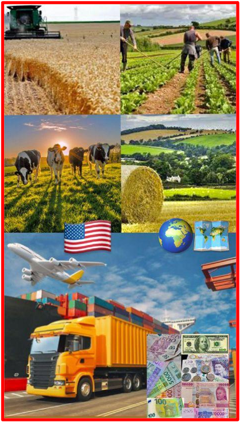 Some politicians and a handful of the ultra-rich want the world! But they will not take it with them to their graves. President Trump’s trade war saga has resulted in bankruptcies and farm consolidation. American trade tariffs are having a severe impact on independent farmers and benefited corporations. U.S. tariffs continue to severely impact the Global Agriculture industry. According to latest reports published by the Economic Research service (ERS): “Trade deficit in agriculture is expected to reach USD 49 billion in 2025 […] exports grew at 1% annually from 2014 to 2024. In 2023, the deficit between imports and exports was USD 21 billion.” The Bridge MAG. Image 