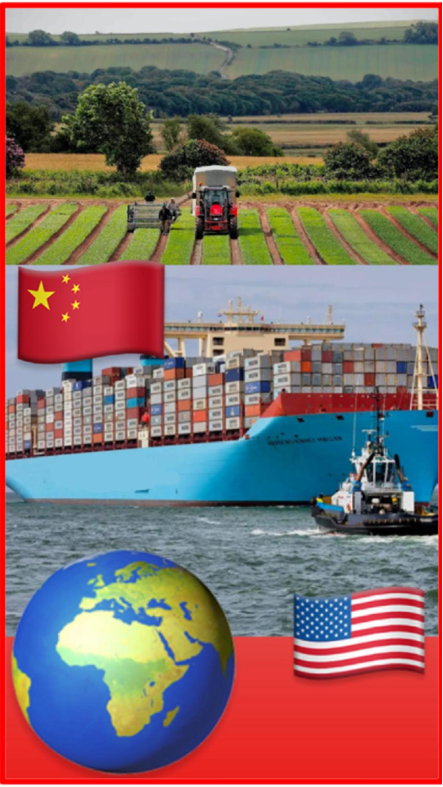 The global backlash to the Trump tariffs is punishing the world agriculture sector (the backbone of the world’s economy) with drastic decline in Chinese buying of U.S. farm products. On 28 April 2025, a leading agriculture exports group said: “massive financial losses are already racking up at farms, with cancelled orders, shortage of workers, because China stops buying products […] “No one can replace all the volume that China buys,” pricing pressure, farmers are expected to pay more for pesticides as the U.S. relies on tariff-hit countries such as China and India for some of its supplies. The Bridge MAG. Image 