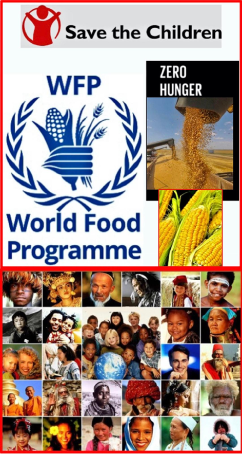 Meanwhile, statistics of food shortage from the World Food Program on the Frontlines (WFP) raises eyebrows “Today, global hunger is skyrocketing as 343 million people face severe food insecurity, driven by an unrelenting wave of global crises[...] In 2025, WFP’s operations are focused on supporting just over one-third of those in need - roughly 123 million of the world’s hungriest people - nearly half of whom (58 million) are at imminent risk of losing access to food assistance.” The World Food Program describe hunger as a discomfort or pain caused by a lack of food. Unlike food insecurity, which means lack of regular access to safe and nutritious food for proper development and an active and healthy life. The Bridge MAG. Image 