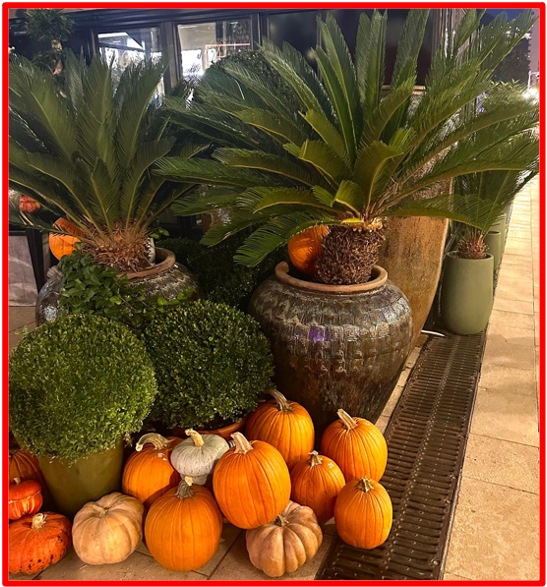 La mort existe pour que nous, les humains, puissions-nous interroger et réfléchir sur notre existence à travers notre voyage sur terre. Pour accepter la mort, l’humanité doit avoir la conviction que la mort est son destin, que la mort est une partie naturelle de la vie et quelque chose qui échappe à son contrôle. Nous comprenons l’envie pour l’humanité d'inventer l'Intelligence Artificielle (IA) d’aller sur la lune ou de découvrir d’autres planètes pour certains, de multiplier les films de science-fiction ou encore de se rendre aux tirages de tarot pour lire l’avenir par la magie… Mais la mort est là pour nous rappeler à quel point nous sommes tous vulnérables en tant qu’êtres humains. The Bridge MAG. Image 