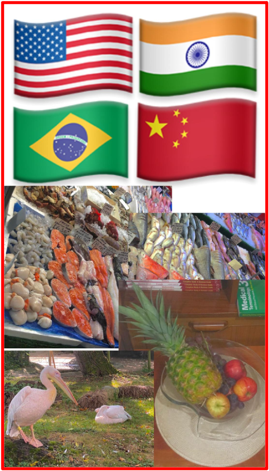 The United States of America plays a crucial role in feeding the rest of the world. Unlike what you may have been led to believe: SNAP Cuts is to make famine all-pervasive worldwide not only because, according to statistics generated on April 4th 2025, “U.S.A is the world's richest country by a wide margin […]” but also, most importantly, The Unite States of America comes 3rd in the list amongst the top four of “The world's top four food-producing countries by agricultural value […]” after China, India, and ahead of Brazil.The Bridge MAG. Image 