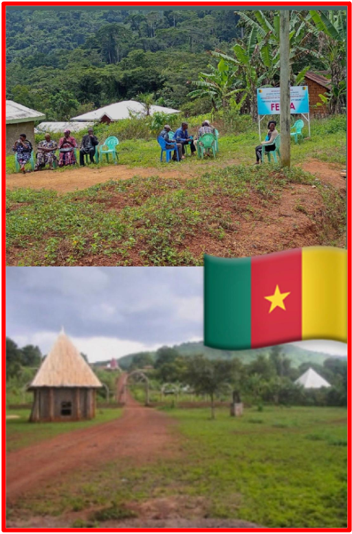 Fetba- Ntanga (within the NDE department) A village in West Cameroon – Central Africa. Agriculture? Also known as The Green Gold, is the pillar of Cameroon's economy: according to statistics, it involves about 70% of the economically active population and accounts for as much as 80% of the primary sector’s contribution to the country’s GDP. Agricultural land is defined by the Economic Dictionary online as: the land area that is either arable, under permanent crops, or under permanent pastures. Damage to property, infrastructure, ecosystems and the burning of tropical forests implies crops and food shortages, thus famine. The Bridge MAG. Image 