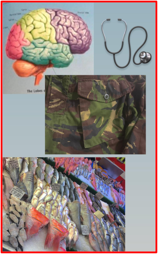 According to research, food insecurity is linked to many adverse effects to overall health. Hunger and health are deeply interwoven. People who experience food insecurity are disproportionally affected by diet-sensitive chronic diseases such as diabetes, high blood pressure and cardiovascular diseases. Hunger is manufactured as a tool of control by government, in war zones or used as psychological manipulation. The danger lies in the fact that there is no limit to what humanity can do or the atrocities they can execute out of hunger. Food should not be weaponised or used as a tool to be rewarded. Food is a human right and a necessity. The Bridge MAG. Image 