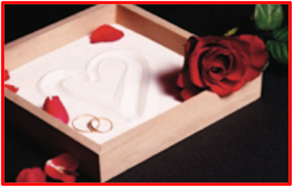 Reopening brothels managed directly by prostitutes? Killing romance, the art of courting? This will lead to the downfall of family values. How many humans, are happy to join prostitution via their own free will? As in with their free and full consent? In our article entitled the stolen lives of Amsterdam, we wrote that “150 men per day is the minimum a sex worker was reportedly welcoming in a squalid kind of room using the same towel”. The Bridge MAG. Image