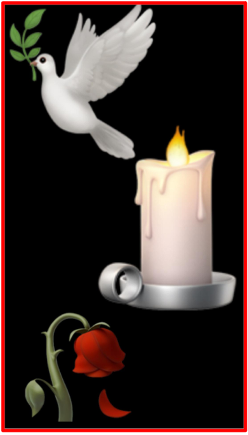 When mice scurry out of a ship, it is a sign for the captain, sailor and crew members that the boat may have hit an iceberg or have a technical issue and thus is about to sink. Whatever the location on earth, when civilians are currently getting killed in war zones and conflicts worldwide, when schools are getting bombed and towns, businesses destroyed, it is a bad omen for humanity as a whole. Our heartfelt condolences for families who are continuously losing their loved ones in current wars and conflicts worldwide. The Bridge MAG. Image 