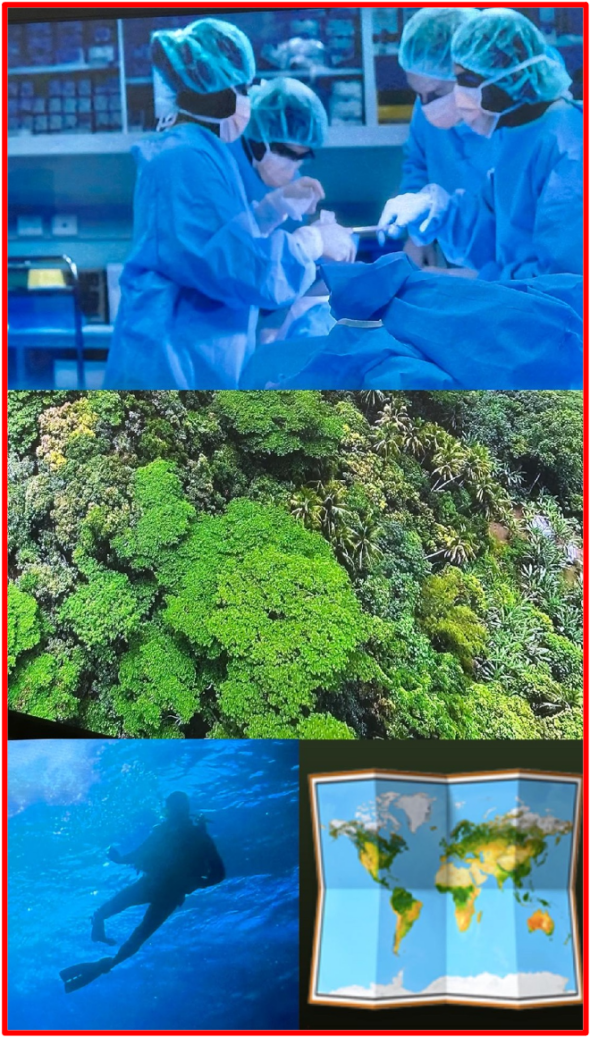 Whether to satisfy human curiosity, for documentary purposes, economic, medical breakthroughs (Exploring wildlife in search of cancer cure, antivenom, antidotes…) for statistical reasons or to spend quality time, wild life continuously attracts tourists worldwide. The Bridge MAG. Image 