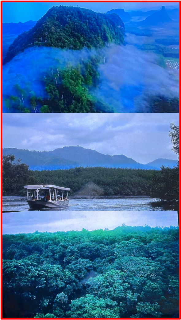 From the roar of a feline to the mischiefs and curiosity of monkeys swinging from a branch tree to another, via the gallop of a zebra, the spectacular waterfall, the magnificent landscape of a colourful wildlife can offer a fairy-tale Mother Nature like enchanting scenery. The Bridge MAG. Image 