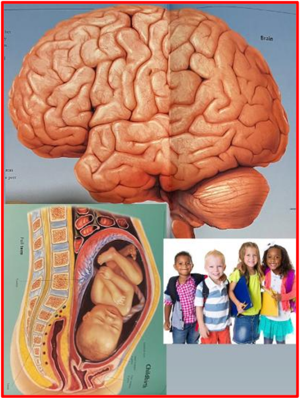 If grown, well fed and healthy athletes cannot stand heat. The world may now understand why some heated areas in the world experience more baby cot deaths than others… why some areas in the world slow down babies’ brain in the womb and why pregnant women suffer from more miscarriages than others … why educational rate is lower in some areas than others… and why the livelihood of the elderly is at risk … the list goes on! The Bridge MAG. Image