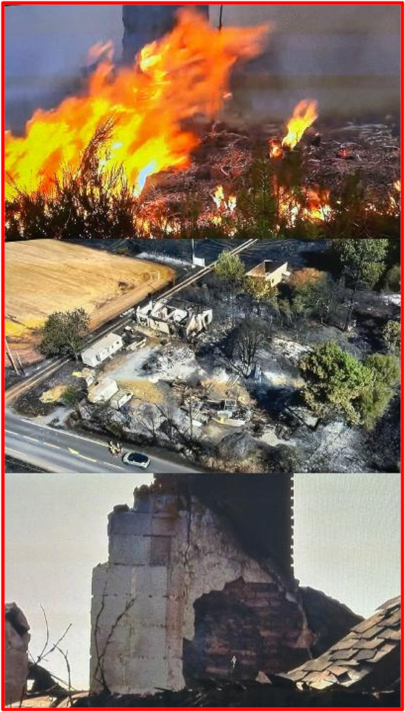 Plan mandatory evacuations. Wildfires are growing in size and at a lightening pace leaving permanent impacts on communities from around the world. The world officials should protect populations worldwide and ensure public resources are spent wisely. The Bridge MAG. Image