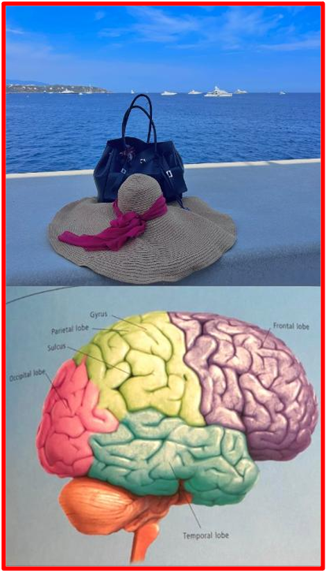 Summer holidays in theory means a complete shutdown from everyday life hectic schedule and routine: a total reset to recharge batteries, but does Mankind’s brain ever really switch off?The Bridge MAG. Image